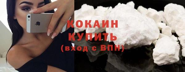 jwh Пересвет