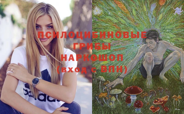 дурь Абаза