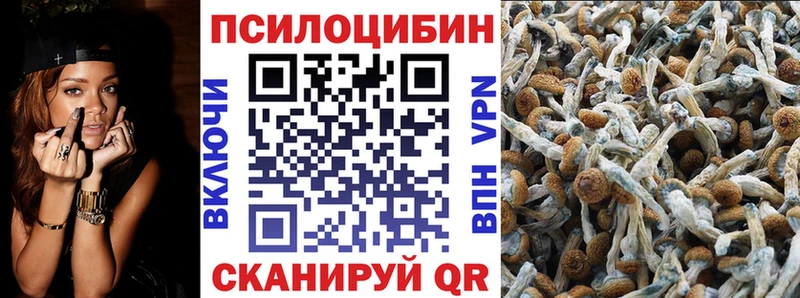 Псилоцибиновые грибы GOLDEN TEACHER  Данилов 